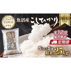ふるさと納税 【定期便】新潟県 魚沼産 コシヒカリ お米 25kg×計12回 精米済み 年間 毎月発送 こしひかり（お米の美味しい炊き方ガイド付.. 新潟県十日町市