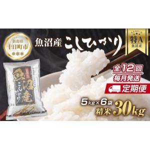 ふるさと納税 【定期便】 新潟県 魚沼産 コシヒカリ お米 30kg×計12回 精米済み 年間 毎月発送 こしひかり（お米の美味しい炊き方ガイド.. 新潟県十日町市