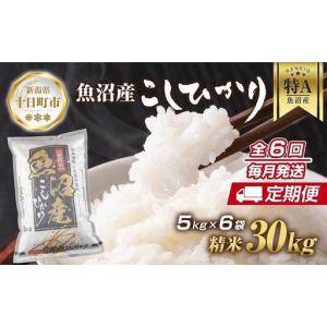 ふるさと納税 【定期便】 新潟県 魚沼産 コシヒカリ お米 30kg×計6回 精米済み 半年間 毎月発送 こしひかり（お米の美味しい炊き方ガイド.. 新潟県十日町市