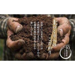 ふるさと納税 【定期便】|無洗米| 新潟県 魚...の詳細画像2