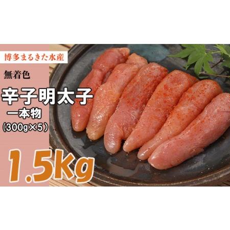 ふるさと納税 Ｚ３２　博多 まるきた水産 無着色 辛子 明太子 1.5kg（一本物300g×5） 福...