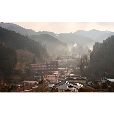ふるさと納税 宝泉寺温泉旅館組合 共通ペア 宿泊券 1枚 1泊2食付 旅館 ホテル 温泉 大分県九重...