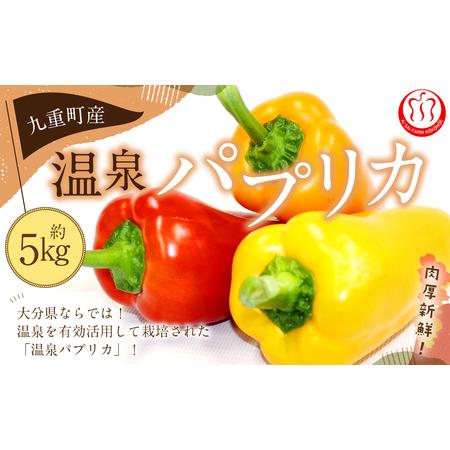 ふるさと納税 大分県九重町産 温泉 パプリカ 5kg 大分県九重町