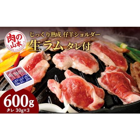 ふるさと納税 生ラム （冷凍）タレ付 600g＜肉の山本＞ 北海道千歳市