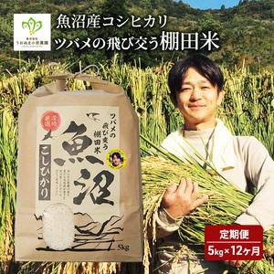 ふるさと納税 米 定期便 12ヶ月 ツバメの飛び...の商品画像