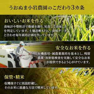 ふるさと納税 米 定期便 12ヶ月 ツバメの飛...の詳細画像3