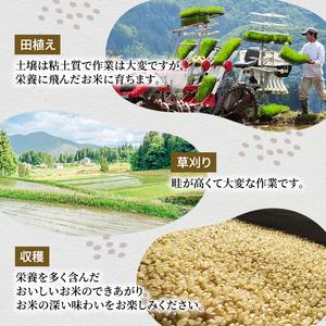 ふるさと納税 米 定期便 12ヶ月 ツバメの飛...の詳細画像4