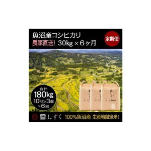 ふるさと納税 【令和7年産】定期便!魚沼産コシヒ...の商品画像