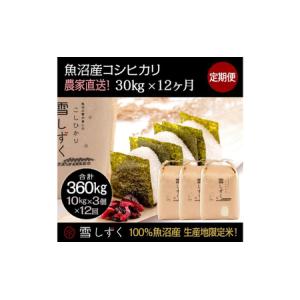 ふるさと納税 【令和7年産】定期便！魚沼産コシヒカリ【合計360kg】毎月30kg×12回 お米 ブランド米 銘柄米 精米 白米 ご飯 おにぎり お弁.. 新潟県十日町市