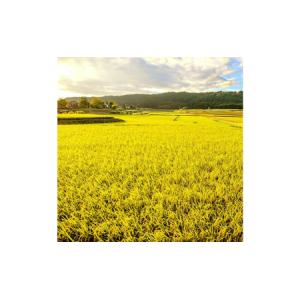 ふるさと納税 【令和7年産】定期便!魚沼産コシ...の詳細画像1