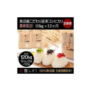 ふるさと納税 【令和7年産】定期便!魚沼産こだわ...の商品画像