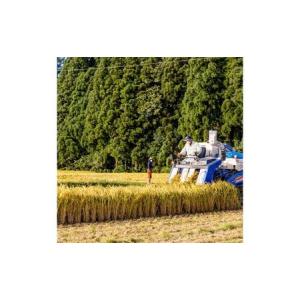 ふるさと納税 【令和7年産】定期便!魚沼産こだ...の詳細画像1