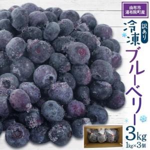 ふるさと納税  訳あり 冷凍ブルーベリー 3kg（1kg×3個）
