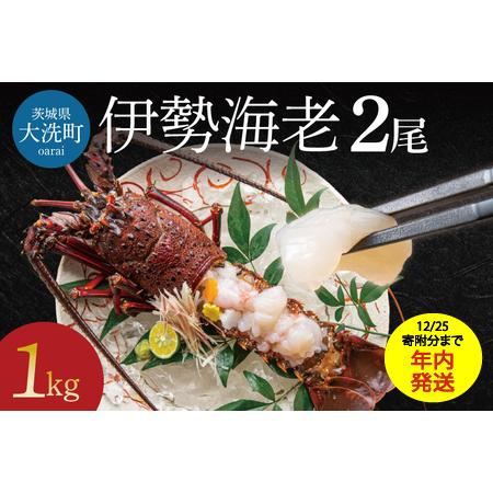 ふるさと納税 生冷凍 伊勢海老 2尾 1kg _AP031 茨城県大洗町