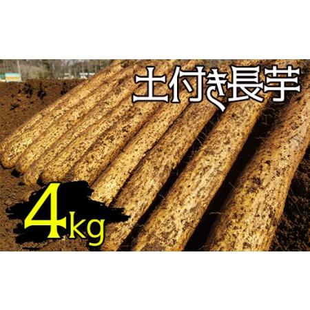 ふるさと納税 変色しない！ 土付き 長芋 4kg 【マル庄】 ／ 長いも 長イモ ながいも 山芋 や...