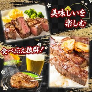 ふるさと納税 【12回定期便】180g×6枚 ...の詳細画像4