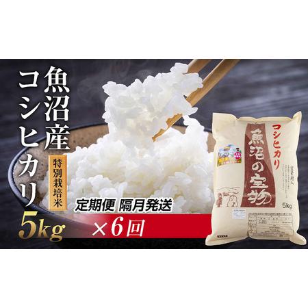 ふるさと納税 【定期便 隔月発送 6回】魚沼産 コシヒカリ 5kg 特別栽培米 魚沼の宝物 嘉六 農...