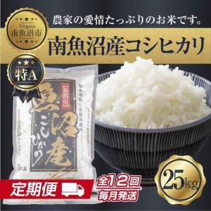 ふるさと納税 【定期便】 新潟県 南魚沼産 コシヒカリ お米 25kg×計12回 精米済み 年間 毎月発送 こしひかり（お米の美味しい炊き方ガイ.. 新潟県南魚沼市