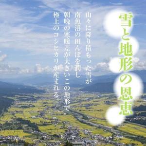 ふるさと納税 【定期便】 新潟県 南魚沼産 コ...の詳細画像2