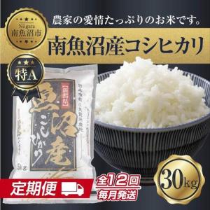ふるさと納税 【定期便】 新潟県 南魚沼産 コシヒカリ お米30kg×計12回 精米済み 年間 毎月発送 こしひかり（お米の美味しい炊き方ガイド.. 新潟県南魚沼市