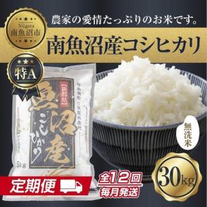 ふるさと納税 【定期便】無洗米 新潟県 南魚沼産 コシヒカリ お米30kg×計12回 精米済み 年間 毎月発送 こしひかり（お米の美味しい炊き.. 新潟県南魚沼市