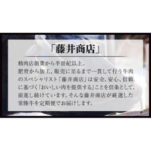 ふるさと納税 【 豪華 12回 定期便 】 最...の詳細画像4