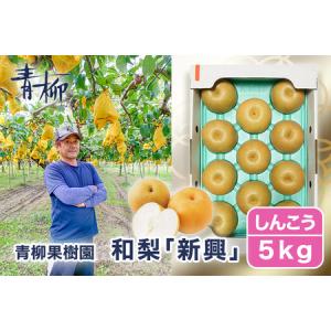ふるさと納税 【2026年先行予約】青柳果樹園の和梨 新興 5kg (6〜9玉)《11月上旬〜順次出荷》しんこう 青柳果樹園 新潟県加茂市