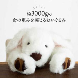 ふるさと納税 シロラン & クロラン ( パト...の詳細画像1
