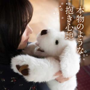 ふるさと納税 シロラン & クロラン ( パト...の詳細画像2