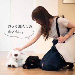 ふるさと納税 シロラン & クロラン ( パト...の詳細画像4