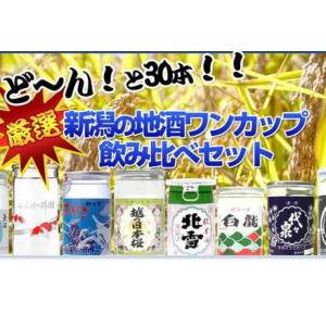 ふるさと納税 酒処・新潟の地酒ワンカップ30銘柄飲み比べ 新潟県