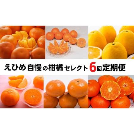 ふるさと納税 えひめの柑橘セレクト6回定期便　 愛媛県東温市