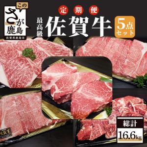 ふるさと納税 【定期便 4回】佐賀牛 5点セット...の商品画像