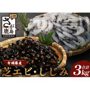 ふるさと納税  冷凍芝エビ1.5kg・冷凍シジミ1.5kg  B-3...