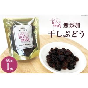 ふるさと納税 無添加 干しぶどう ボッサの干しぶどう 40g×1袋 マスカットベーリーA（種あり）国産 レーズン ドライフルーツ 砂糖不使用 富山県黒部市｜ふるなび(ふるさと納税)