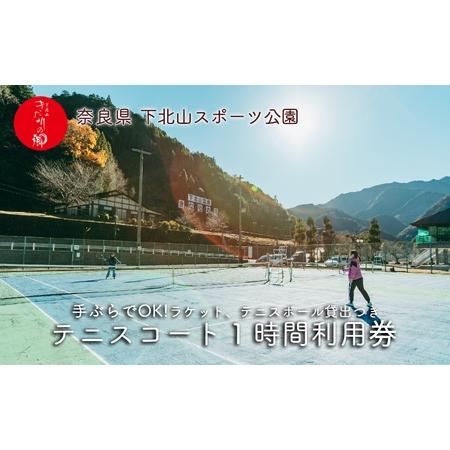 ふるさと納税 奈良 下北山村 テニスコート 1時間利用券 下北山スポーツ公園 ラケット・ボール貸出付...