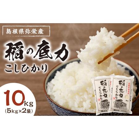 ふるさと納税 【令和5年産】浜田産「稲の底力こしひかり」10kg お取り寄せ 特産 お米 精米 白米...