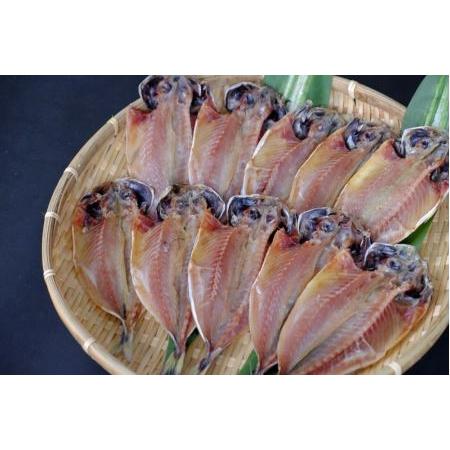 ふるさと納税 どんちっちあじ一夜干し10枚セット 魚介類 魚 干物 一夜干し あじ 鯵 セット 【7...