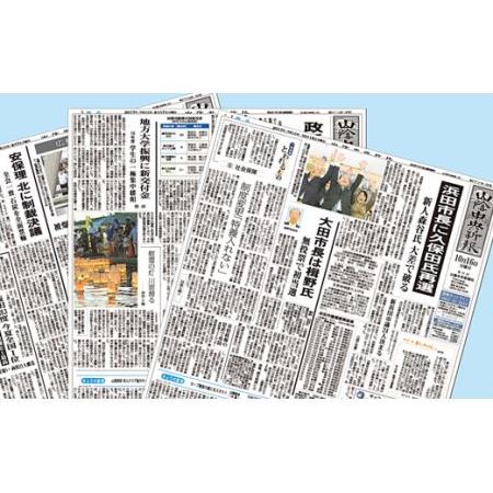 ふるさと納税 【定期便】山陰中央新報（西部版）12カ月購読プラン 新聞 地方紙 地方新聞 定期 定期...