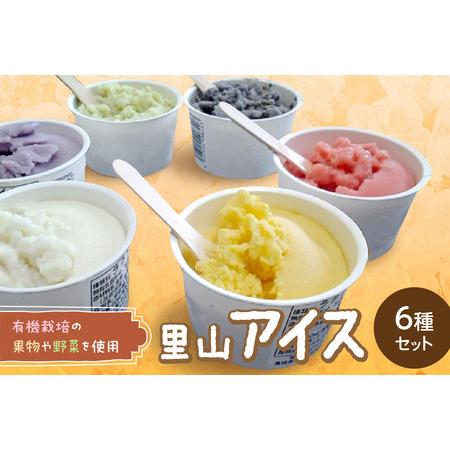 ふるさと納税 里山アイスセット（6種セット） 詰め合わせ ギフト 母の日 お中元 ご褒美 取り寄せ ...