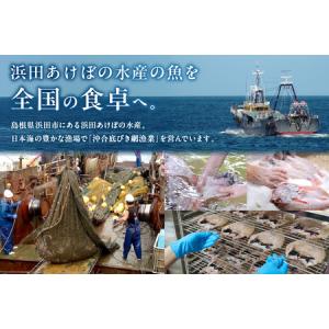 ふるさと納税 【定期便】山陰浜田港あけぼの丸が...の詳細画像4