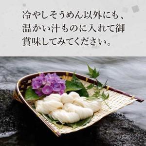 ふるさと納税 【定期便 12回】手延べ そうめ...の詳細画像3