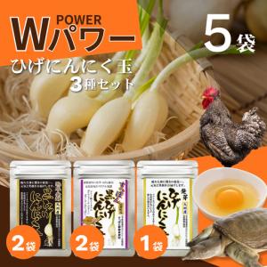 ふるさと納税 【レターパックライト配送】佐賀の手...の商品画像