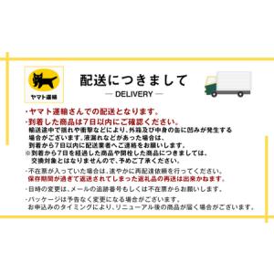 ふるさと納税 【世界初!生ジョッキ缶】 スーパ...の詳細画像1