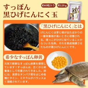 ふるさと納税 ひげにんにくで作った、にんにく卵...の詳細画像1