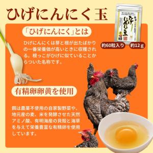 ふるさと納税 ひげにんにくで作った、にんにく卵...の詳細画像2