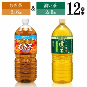 ふるさと納税 伊藤園 健康ミネラルむぎ茶2L(6本)＋お〜いお茶濃い茶2L(6本) 【飲料類お茶 麦茶 緑茶お茶 PET お茶セット 長期保存お茶 備蓄お茶.. 宮崎県川南町