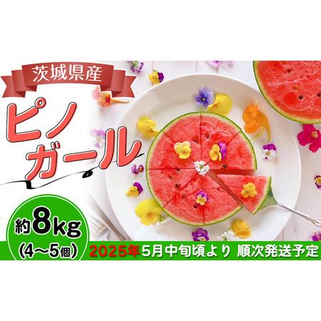 ふるさと納税 茨城県産ピノガール約8kg（4〜5個）【2024年5月中旬〜6月中旬ごろ発送予定】【す...