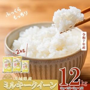 ふるさと納税 米 精米 R7年産 ミルキークイーン 12kg 5月 茨城県下妻市