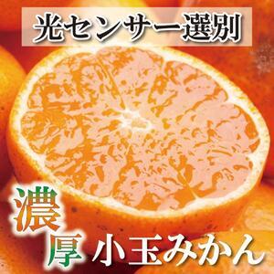 ふるさと納税 ＜11月より発送＞家庭用 小玉な有田みかん5kg＋150g（傷み補償分）訳あり 和歌山...